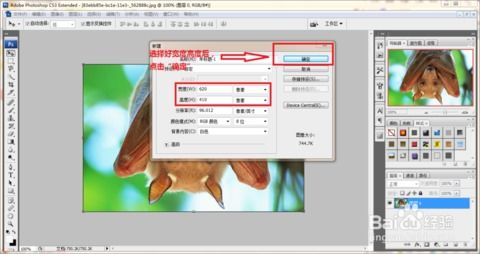 如何用Photoshop制作美丽的图文图片——从设计思路到实战技巧